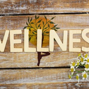 wellness consulting