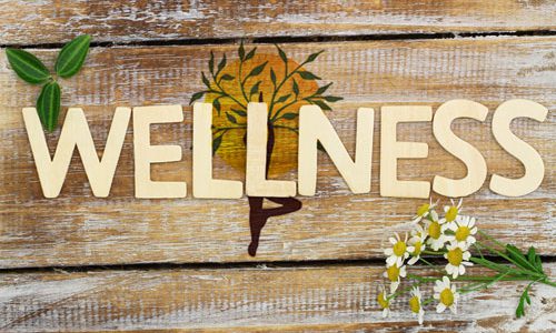 wellness consulting